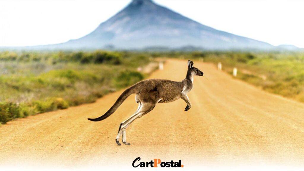 Australia Travel Guide & ZIP Codes